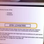 Apa Itu EFIN? Cara Mendapatkan dan Mengaktifkannya Kembali