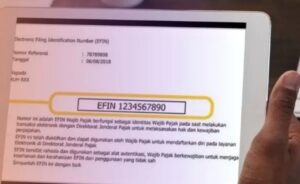 Apa Itu EFIN? Cara Mendapatkan dan Mengaktifkannya Kembali
