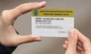 Perbedaan NPWP Pusat dan NPWP Cabang