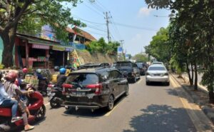 Cara Cek Plat Nomor Kendaraan di Lampung