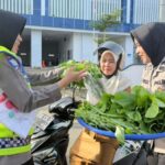 Ditlantas Polda Sulbar Panen Perdana Pekarangan Pangan Lestari, Bagikan Sayur Gratis ke Pengendara Tertib