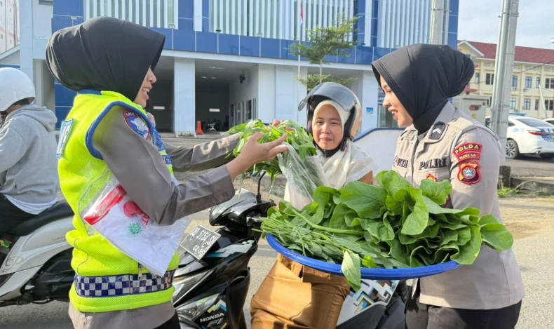 Ditlantas Polda Sulbar Panen Perdana Pekarangan Pangan Lestari, Bagikan Sayur Gratis ke Pengendara Tertib